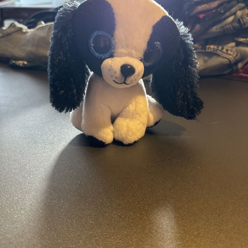 Small Black And White TY Sissy Dog Plush With Big Blue Eyes.